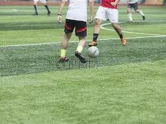 法国,不敌克罗地,莫德里奇激,万博manbetx体育平台,万博体育官网,万博体育app下载,ManBetX,SPORTS