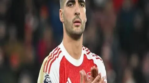 万博manbetx体育平台